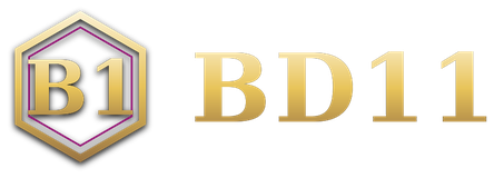 BD11 logo